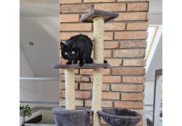 Sisaltouw - de beste keuze voor een krabpaal voor katten